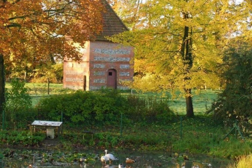 für 8 Personen - foto 20