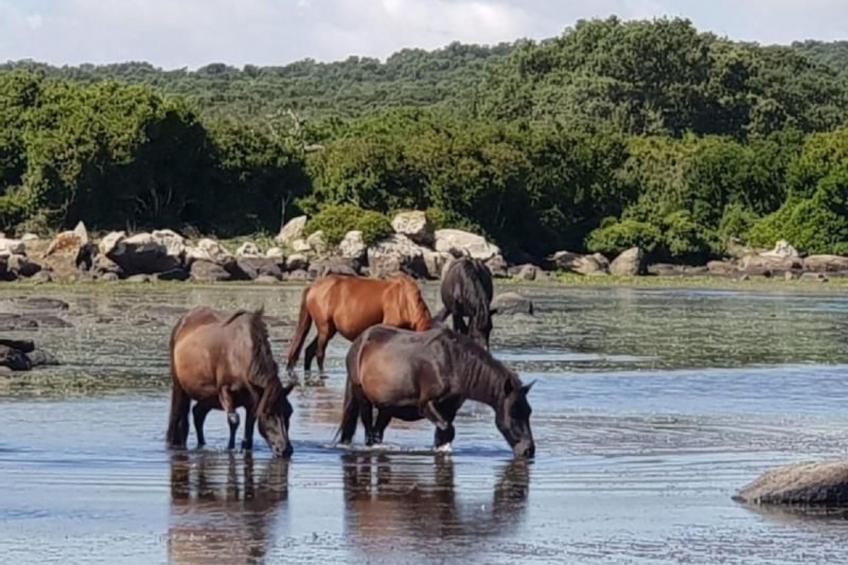 mit Wasserblick - foto 72