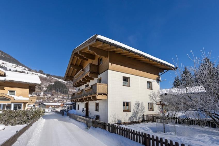 Vakantiewoningen, Wald im Pinzgau - Type B - foto 29