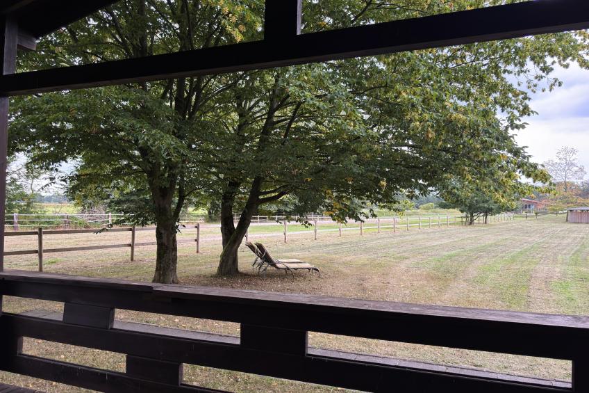 Lüneburger Heide - foto 19