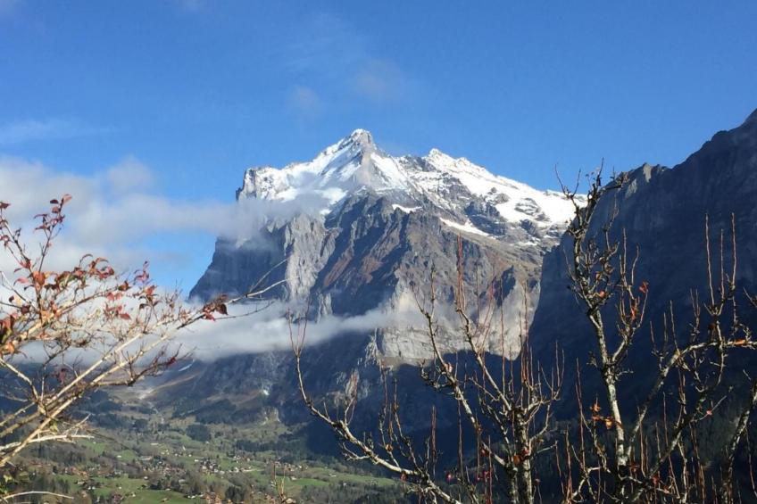 Chalet am Bühl - foto 49