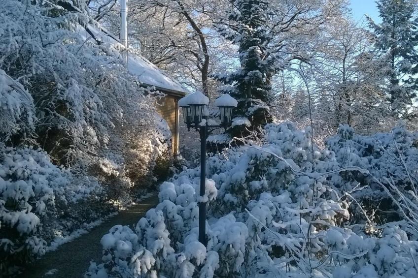 Zentrale Ferienwohnung mit Terrasse - foto 22