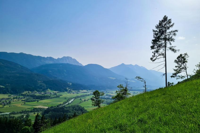 Waldblick in Steinfeld - foto 24