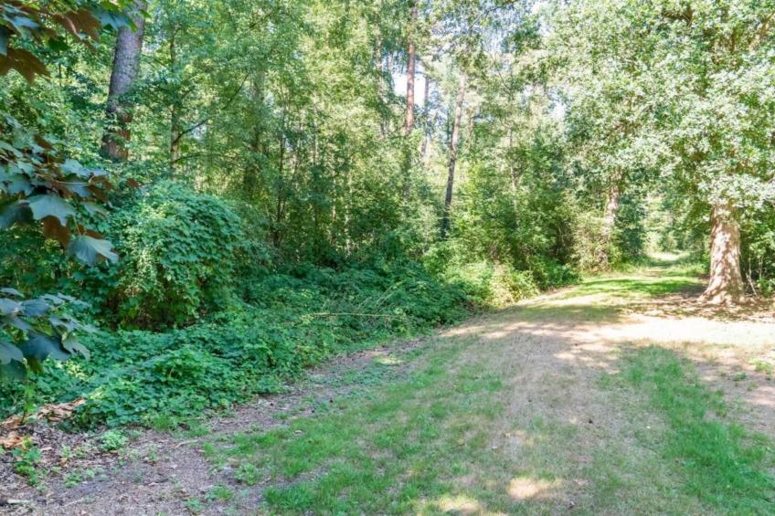 Wildzicht 253 - foto 23