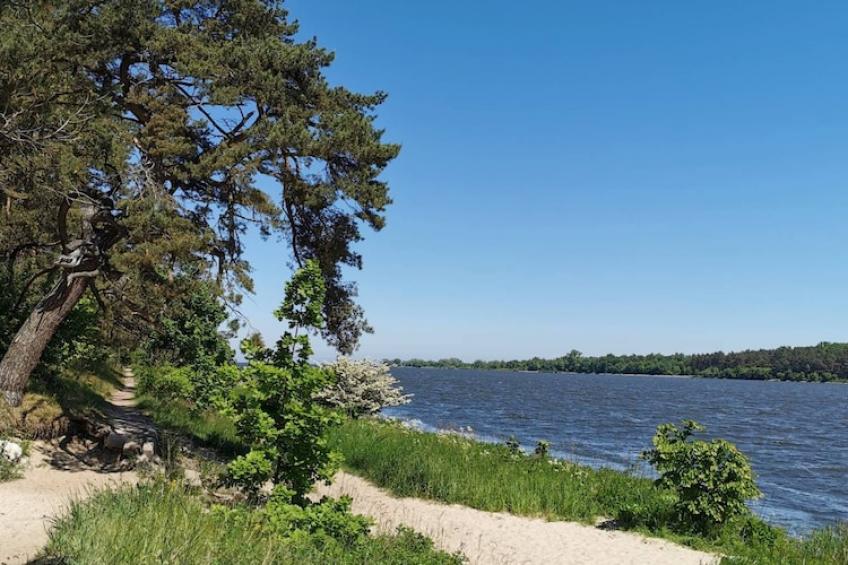 holiday home Swibno - foto 24