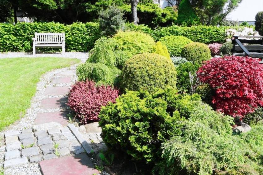 Urlaub am Meer im Ferienhaus mit Sauna - foto 8