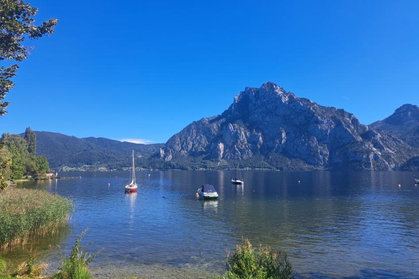 Villa Rose - foto 53