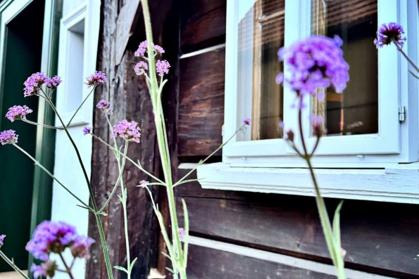 NEU!   dasErbhaus - foto 37