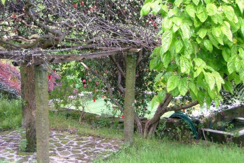 Finca "Quinta do Bento Novo" - foto 20