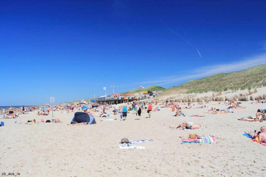 de Biotoop - foto 31