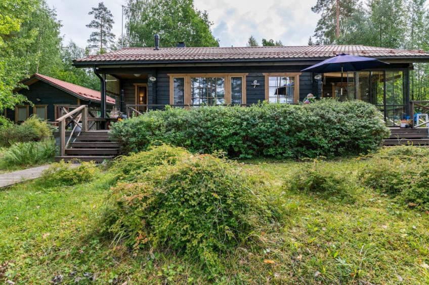 Metsä-iivari - foto 24