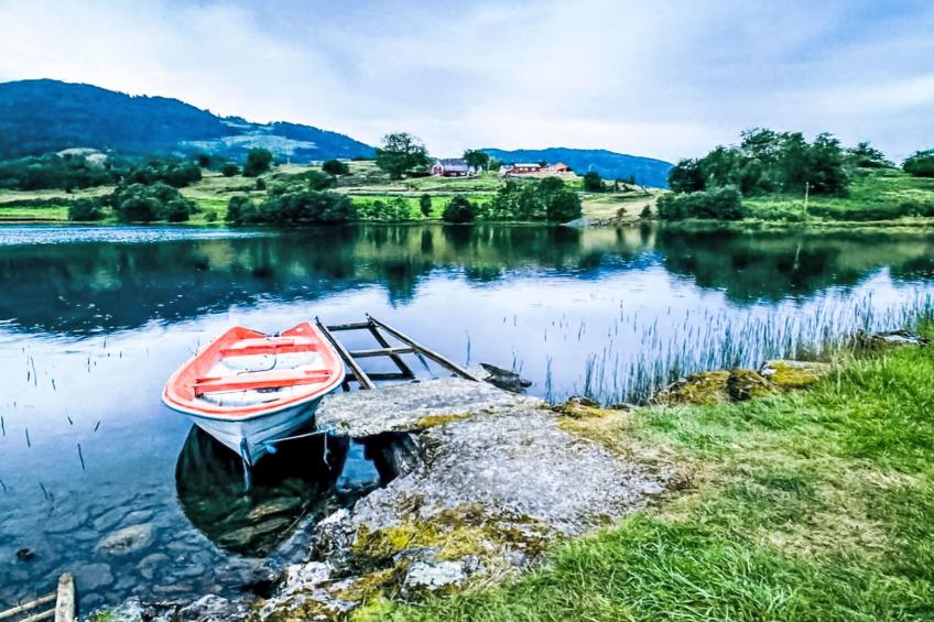 Samlen Vasselgård - foto 26