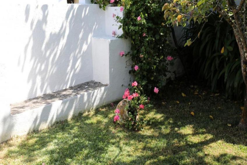 Historisches Haus in der Nähe des historischen Dorfes von Óbidos - foto 40