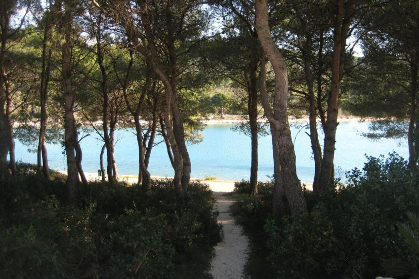 mit Terrasse am Meer - foto 26