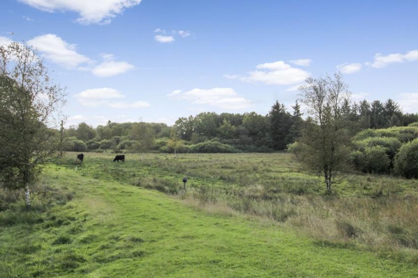 "Terese" - 45km from the sea in Western Jutland - foto 2