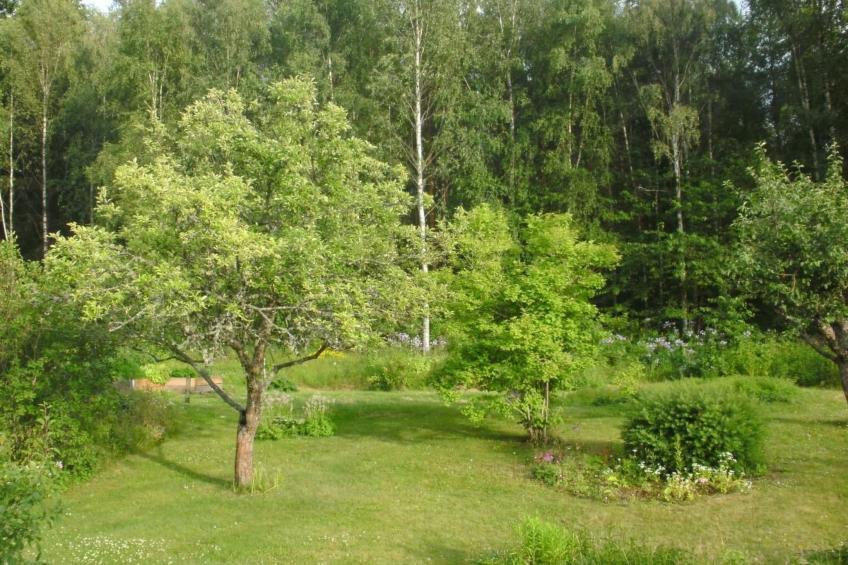 Haus am Waldrand - foto 14