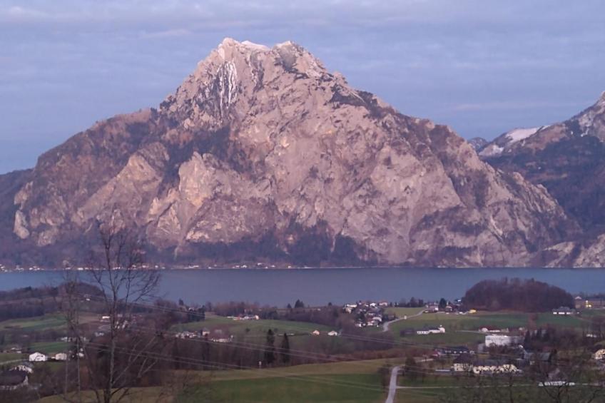 Haus Traunsee-Blick - foto 39