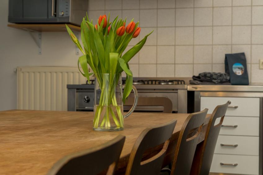 Holidayhouse - Duinweg 135 | Zoutelande 'Zonnevylle' - foto 7