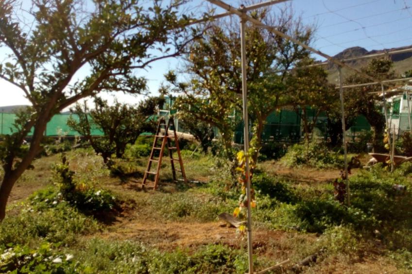 mit privatem Pool - foto 23