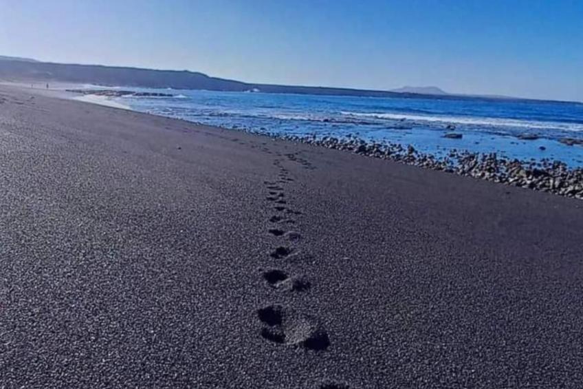 Haus Stadt La Palma 2BedR - foto 39