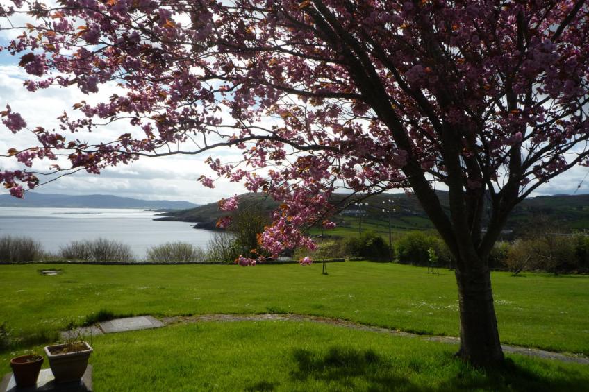 Anchor Cottage Portsalon - foto 14