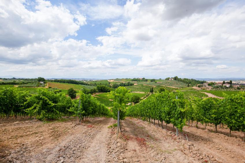 Il Poggiale-app6 - foto 20