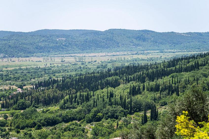 Villa Oliva - Two Bedroom Villa with Terrace and Swimming pool - foto 32