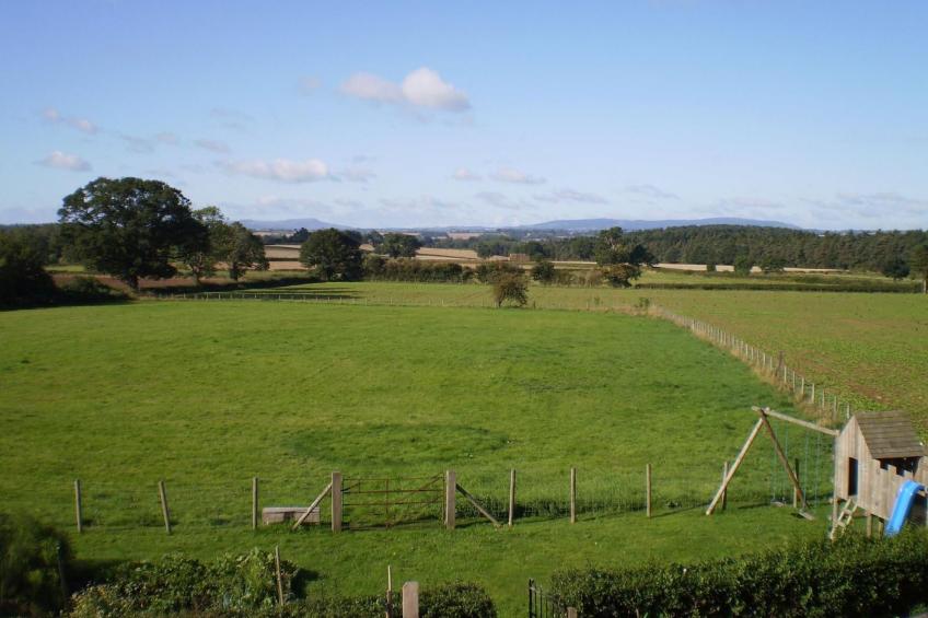 Duken Hof Ferienhaus - foto 14