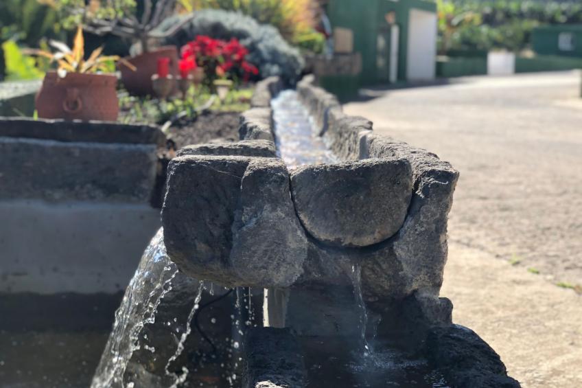 Villa los palmitos Familiäre Privatvilla mit Pool - foto 33