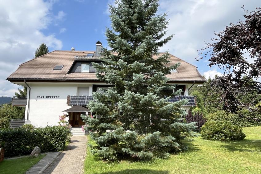 Sonnige Aussichten - foto 9