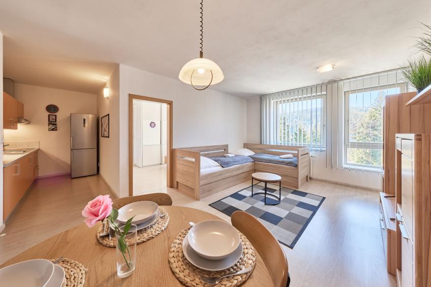 Harrachov Resident A - foto 5