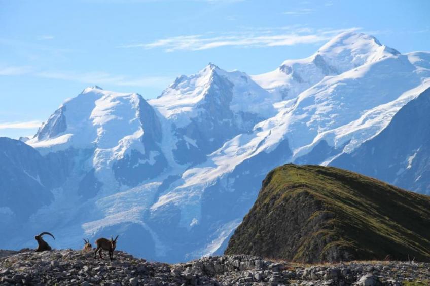 Les Portes du Grand Massif - foto 27