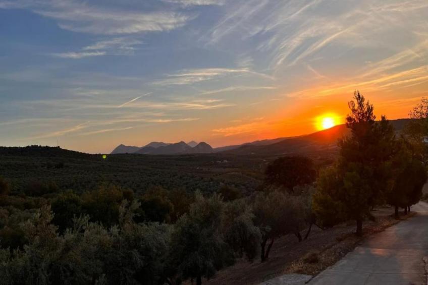 Cortijo Los Alazores - foto 29