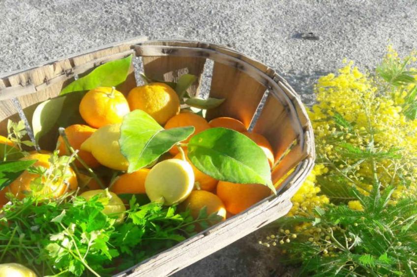 La Pascaline - foto 21