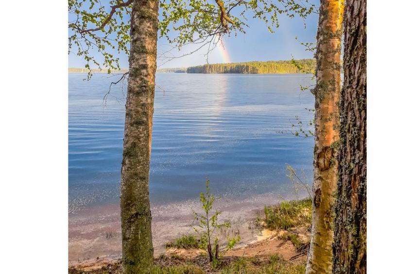 Kesäniitty - foto 18