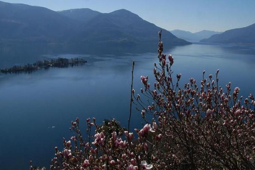 Casa Leula 2 1/2 Zimmerwohnung - foto 4