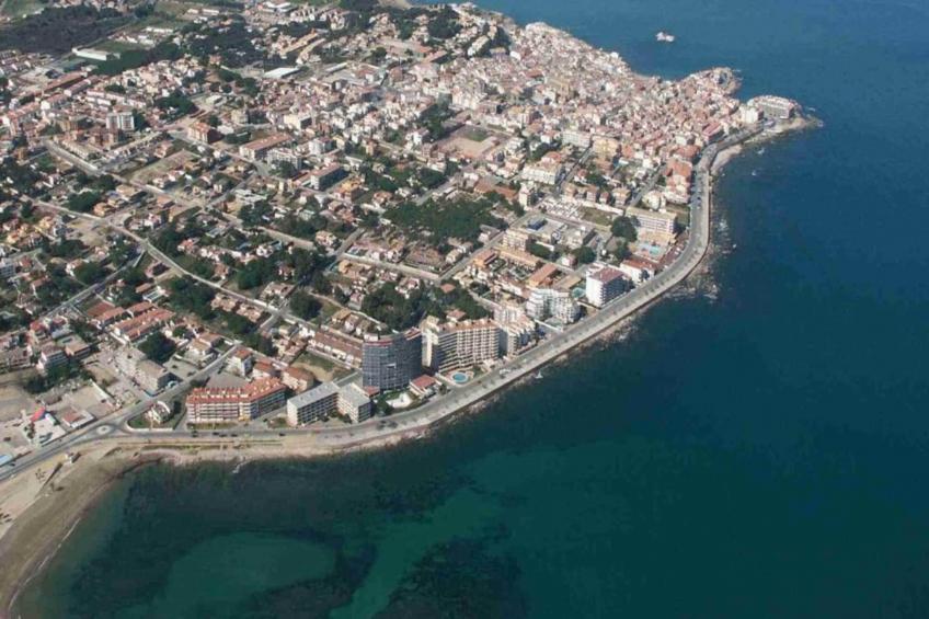 COSSIS 61B - foto 38