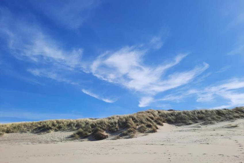 Fort den Haak - Chalet 1 tm 5  hond - foto 29