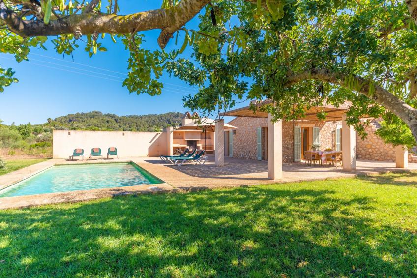 Pedra Viva (cala Bona) - foto 6