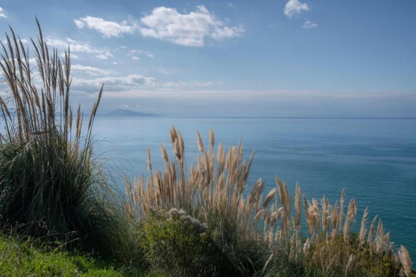 Résidence Les Villas Milady - foto 22