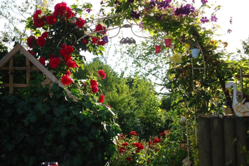 Lovely Place - foto 9