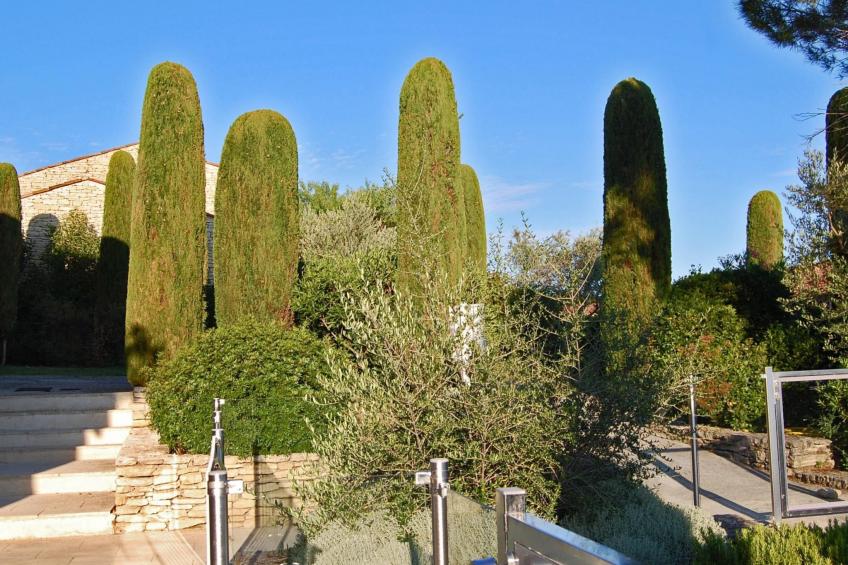 Cypres du Paradis - foto 15