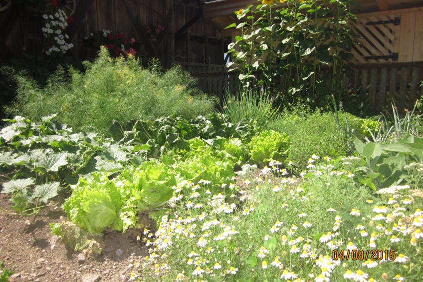 Kompatscherhof - foto 11