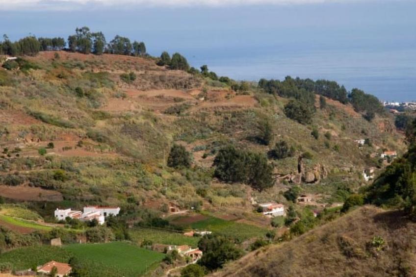 "El Laurel" - foto 18