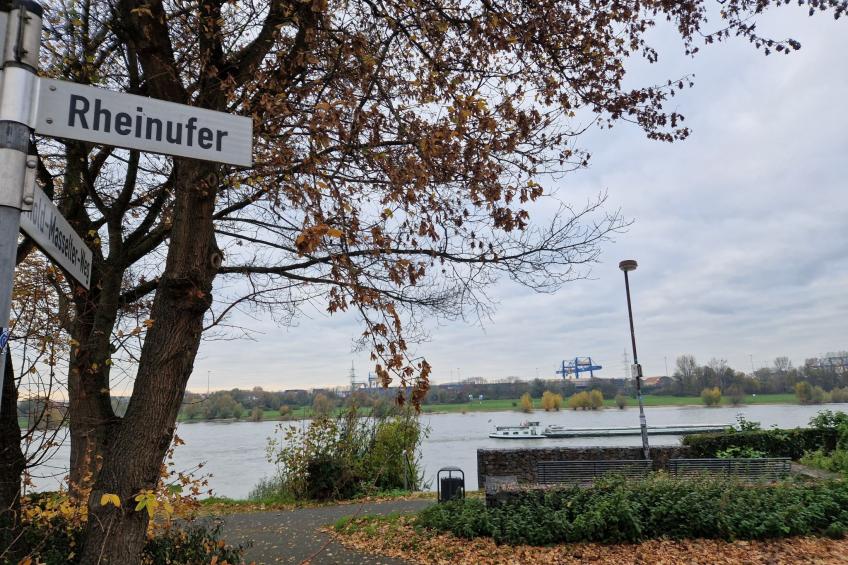 Fewo am Rhein - foto 17