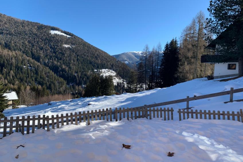 Ahorn - foto 27