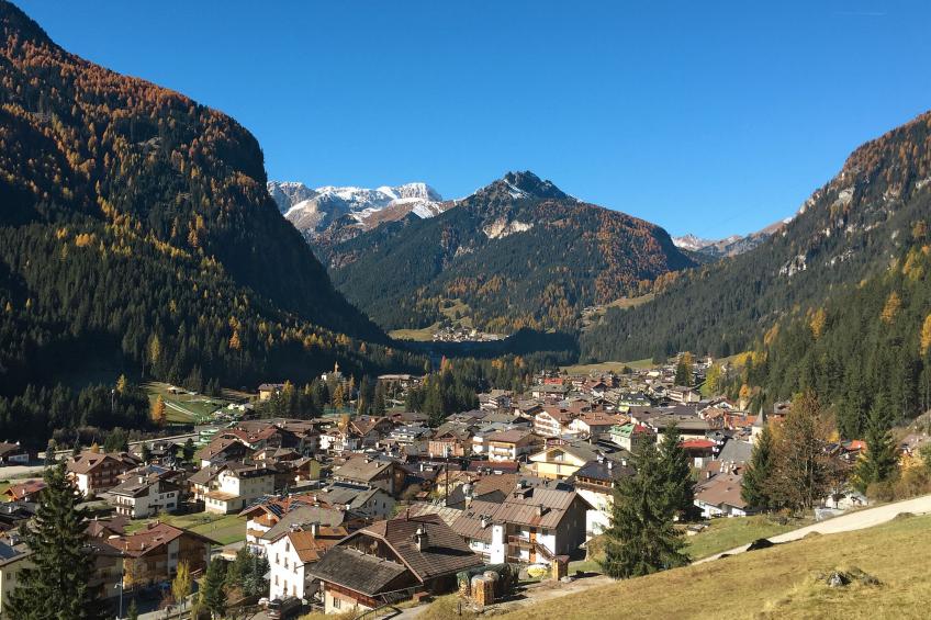 Cesa del sass - foto 37