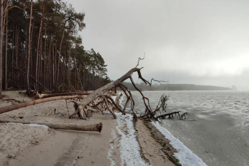 Gutshaus Zicker -Wohnung 3 - foto 20