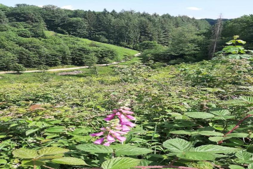 Rabais 57-58 - foto 21