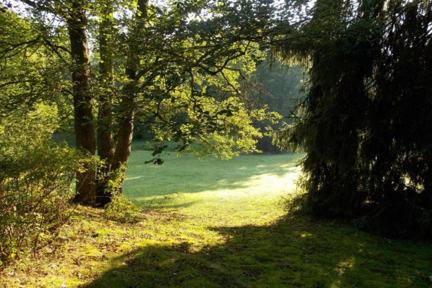 Vakantiepark de Tabaksschuur 4 - foto 19